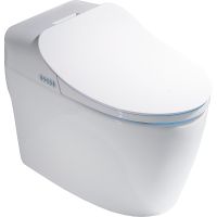 Унитаз биде Timo приставной Белый с Микролифтом арт-TE-721 — фото 1, Умные унитазы