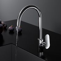 Смеситель для кухни AM.PM Like Хром арт-F8007700 — фото 8, Смесители для кухни