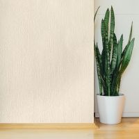 Обои Solo Willow Винил на флизелине (1,06*10) Бежевый, Однотонные/Штукатурка арт-E201804 — фото 4, Обои для стен