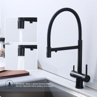 Смеситель для кухни Splenka Черный матовый арт-S70.63.06 — фото 2, Смесители для кухни