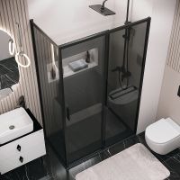 Душевая стенка Grossman Style 90 профиль Черный матовый стекло тонированное арт-200.K33.05.90.21.10 — фото 3, Боковые стенки