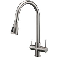 Смеситель для кухни Paulmark Lange Никель арт-La214212-NI — фото 1, Смесители для кухни