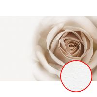 Фреска Ortograf Цветы 3189 Фактура бархат FX Флизелин (4*2,7) Белый/Бежевый, Цветы арт-3189 (бархат FX) — фото 1, Фрески