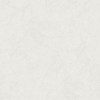 Обои Bernardo Bartalucci Carnazza Флизелин (1,06*10) Белый, Штукатурка арт-5060-7 — фото 1, Обои для стен