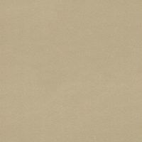 Обои RASCH Denzo II Винил на флизелине (0,53*10,05) Бежевый, Однотонные арт-806892 — фото 1, Обои для стен