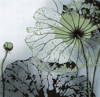 Фреска Ortograf Grafika Natura 31502 Фактура флок FLK Флизелин (2,8*2,7) Зеленый/Серый/Черный, Абстракция/Цветы арт-31502 (флок FLK) — фото 2, Фрески