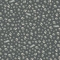 Обои AS Creation Karl Lagerfeld Винил на флизелине (0,53*10,05) Черный, Надписи арт-37843-7 — фото 1, Обои для стен