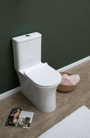 Чаша унитаза-компакта Aquanet Roll-C без бачка, с сиденьем Микролифт арт-210764 — фото 2, Напольные унитазы