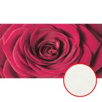 Фреска Ortograf Цветы 3610 Фактура флок FLK Флизелин (3*1,6) Красный, Цветы арт-3610 (флок FLK) — фото 1, Фрески