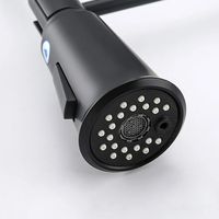 Смеситель для кухни Gappo Черный матовый арт-G4398-66 — фото 4, Смесители для кухни