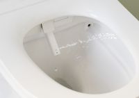 Комплект унитаза биде с инсталляцией Jacob Delafon Seine с сиденьем Микролифт и Белой глянцевой клавишей смыва арт-E34360-00 — фото 6, Умные унитазы