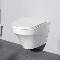 Унитаз AM.PM Inspire подвесной без сиденья арт-C501700WH — фото 1, Подвесные унитазы