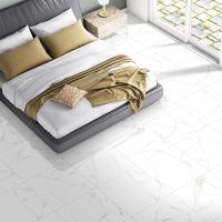 Керамогранит Velsaa Satvario Lite White 60х60 см арт-RP-151098 — фото 10, Керамогранит