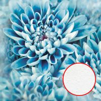 Фреска Ortograf Цветы 33041 Фактура бархат FX Флизелин (2,7*2,7) Голубой, Цветы арт-33041 (бархат FX) — фото 1, Фрески