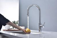 Смеситель для кухни Paulmark Galant Хром арт-Ga213077-CR — фото 8, Смесители для кухни