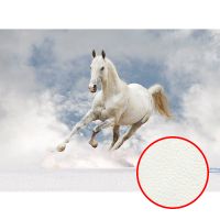 Фреска Ortograf Животные 3090 Фактура флок FLK Флизелин (2,7*2) Белый/Голубой, Животные арт-3090 (флок FLK) — фото 1, Фрески