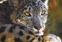 Фреска Ortograf Животные 3412 Фактура бархат FX Флизелин (2,9*2) Разноцветный, Животные арт-3412 (бархат FX) — фото 2, Фрески