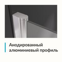 Душевая дверь  90*195 RGW Dolphin TN-03 Хром/fabric/6 мм (Easy) арт-54930309-101 — фото 3, Распашные душевые двери