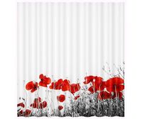 Main SC- Шторка для ванной арт-47101 — фото 1, Шторы для ванной