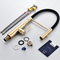 Смеситель для кухни Accoona Золото Черный арт-A4890WF-1 — фото 7, Смесители для кухни