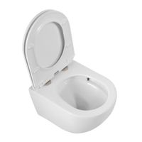 Унитаз подвесной безободковый с сиденьем CEZARES RELAX арт-CZR-38088-49-TH-TOR/SC — фото 3, Подвесные унитазы