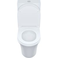 Унитаз компакт Iddis Stone с бачком и сиденьем Микролифт арт-STNRDSEi24 — фото 2, Напольные унитазы