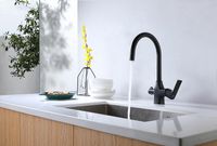 Товар: Смеситель для кухни Lemark Ursus Черный матовый арт-LM7261BL - фото 2 Смеситель для кухни Lemark Ursus Черный матовый арт-LM7261BL — фото 2, Смесители для кухни