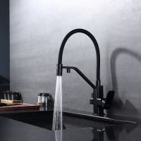 Смеситель для кухни Raglo Черный матовый арт-R85.62.06 — фото 13, Смесители для кухни