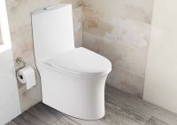 Товар: Унитаз моноблок Azario Luna с бачком и сиденьем Микролифт арт-AZ-1037 - фото 3 Унитаз моноблок Azario Luna с бачком и сиденьем Микролифт арт-AZ-1037 — фото 3, Напольные унитазы