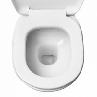 Унитаз компакт Iddis Calipso с бачком и сиденьем Микролифт арт-CAL2DSEi24 — фото 2, Напольные унитазы