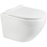 Унитаз Bond Oval подвесной с сиденьем Микролифт арт-F13-10 — фото 1, Подвесные унитазы