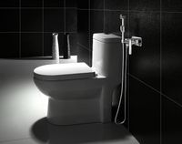 Гигиенический душ со смесителем Lemark Plus Grace Хром арт-LM1519C — фото 2, Гигиенические души