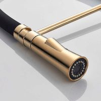 Смеситель для кухни Accoona Золото Черный арт-A4890WF-1 — фото 4, Смесители для кухни