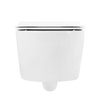 Унитаз подвесной безободковый CEZARES MOLVENO арт-CZR-2468-TH-R/CZR-2011-SC — фото 5, Подвесные унитазы