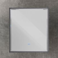 Зеркало CEZARES арт-CZR-SPC-INT-1000-900-LED-TCH-WARM-TIT — фото 1, Зеркала в ванную комнату