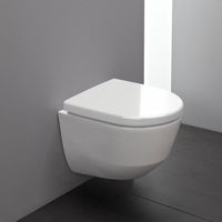 Унитаз Laufen Pro Rimless 8.2096.5 подвесной без сиденья арт-8.2096.5.000.000.1 — фото 12, Подвесные унитазы