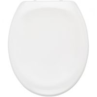 Товар: Сиденье для унитаза Ridder Philadelphia Белое с Микролифтом арт-О2111101 - фото 3 Сиденье для унитаза Ridder Philadelphia Белое с Микролифтом арт-О2111101 — фото 3, Сиденья для унитаза