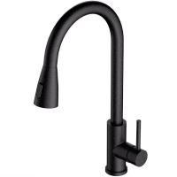 Смеситель для кухни Alveus Primrose PS Carbon G91 Черный арт-1148264 — фото 1, Смесители для кухни