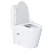 Унитаз моноблок Laguraty с бидеткой с бачком и сиденьем Микролифт арт-2100AWC — фото 3, Напольные унитазы