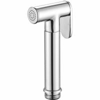 Гигиенический душ Raglo Хром арт-R460.03 — фото 1, Гигиенические души