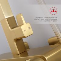 Душевая система Raglo Золото матовое арт-R51.24.03 — фото 9, Душевые стойки