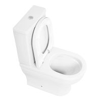 Унитаз-компакт безободковый CEZARES GIUBILEO арт-CZR-165-CPR/CZR-6045-SC — фото 3, Напольные унитазы