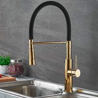 Смеситель для кухни Accoona Золото Черный арт-A4890WF-1 — фото 2, Смесители для кухни