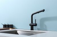 Смеситель для кухни Raglo Черный матовый арт-R86.49.06 — фото 10, Смесители для кухни