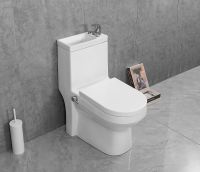 Унитаз биде Laguraty с раковиной и смесителем с бачком и сиденьем Микролифт арт-8074AC — фото 10, Напольные унитазы