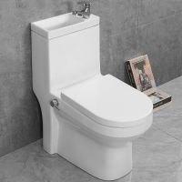 Унитаз биде Laguraty с раковиной и смесителем с бачком и сиденьем Микролифт арт-8074AC — фото 1, Напольные унитазы