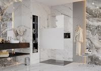 Душевая перегородка Ambassador Walk-in 110х200 профиль Хром стекло прозрачное с матовой лин арт-15034126 — фото 4, Душевые перегородки