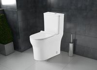 Товар: Унитаз моноблок Azario Sinto с бачком и сиденьем Микролифт арт-AZ-1098 - фото 3 Унитаз моноблок Azario Sinto с бачком и сиденьем Микролифт арт-AZ-1098 — фото 3, Напольные унитазы