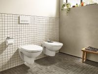 Унитаз Roca Debba Round Rimless подвесной без сиденья арт-346998000 — фото 3, Подвесные унитазы