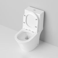 Товар: Унитаз компакт Ambassador Ritz с бачком и сиденьем Микролифт арт-237K19002S - фото 4 Унитаз компакт Ambassador Ritz с бачком и сиденьем Микролифт арт-237K19002S — фото 4, Напольные унитазы